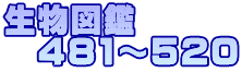 生物図鑑 481~520