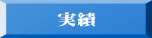 実績 